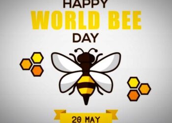 روز-جهانی-زنبور